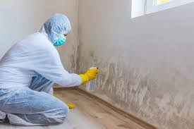 Best Attic Mold Removal  in Sanger, CA