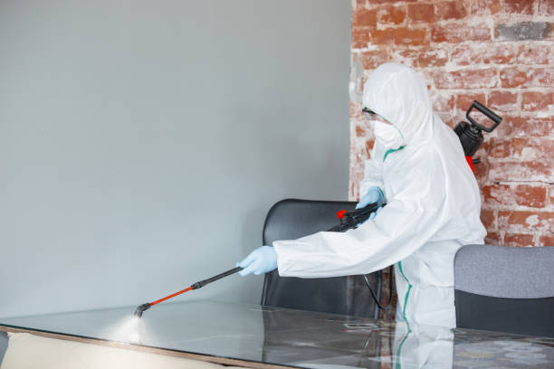 Best Mold Prevention Services  in Sanger, CA